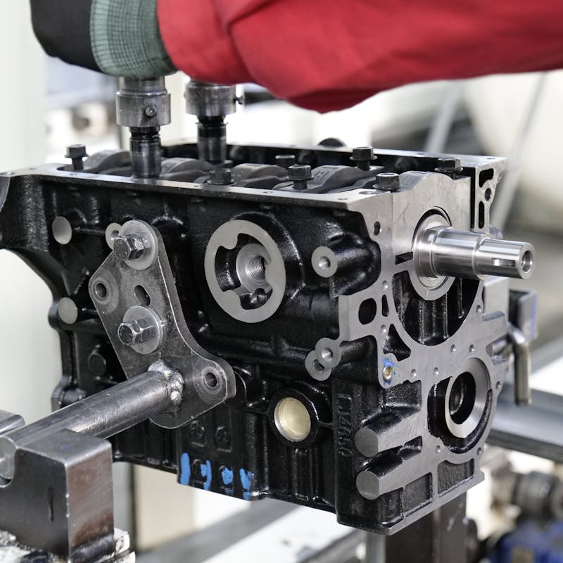 pexels-photo-33559401